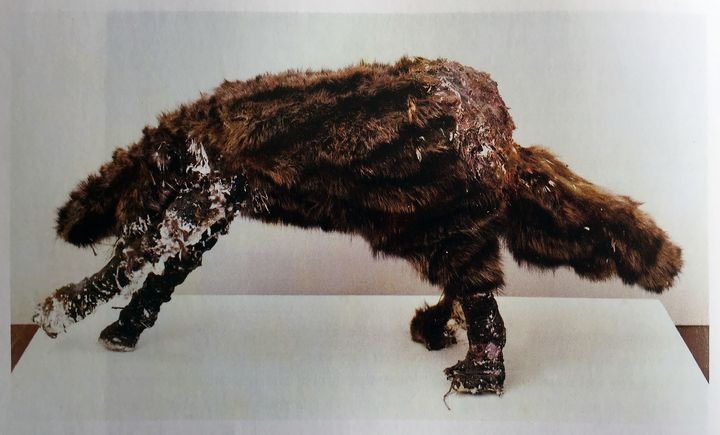 Joan Brown/Fur Rat, 1961 (Wood, chicken wire, plaster, string, nails, and racoon fur)