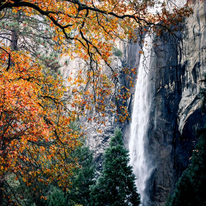 <p>Autumn at Yosemite’s Bridalveil Fall</p>