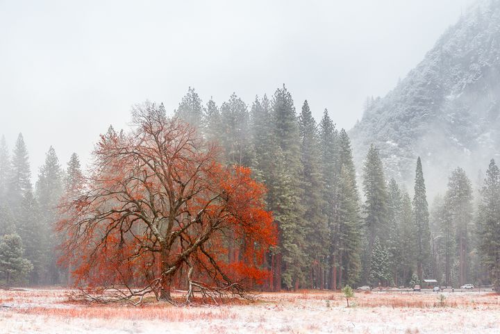 <p>Autumn and Winter Collide in Yosemite Valley. November, 2015.</p>
