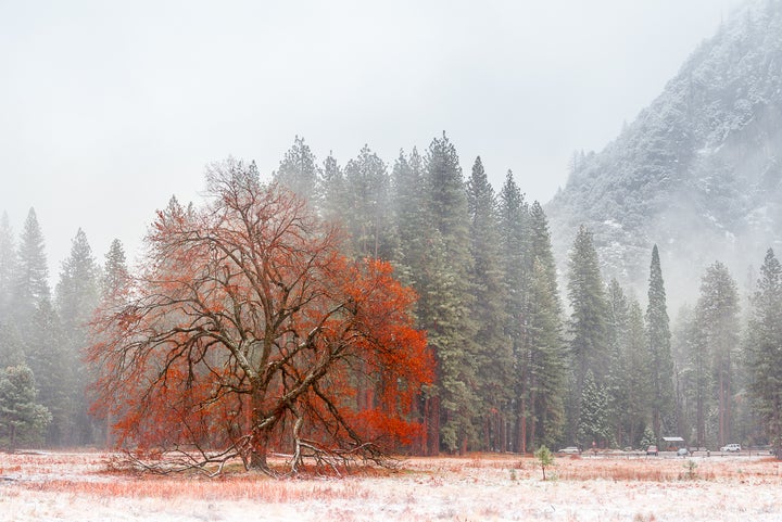 Autumn and Winter Collide in Yosemite Valley. November, 2015.