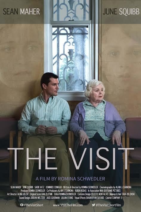 ‘The Visit’ Official poster