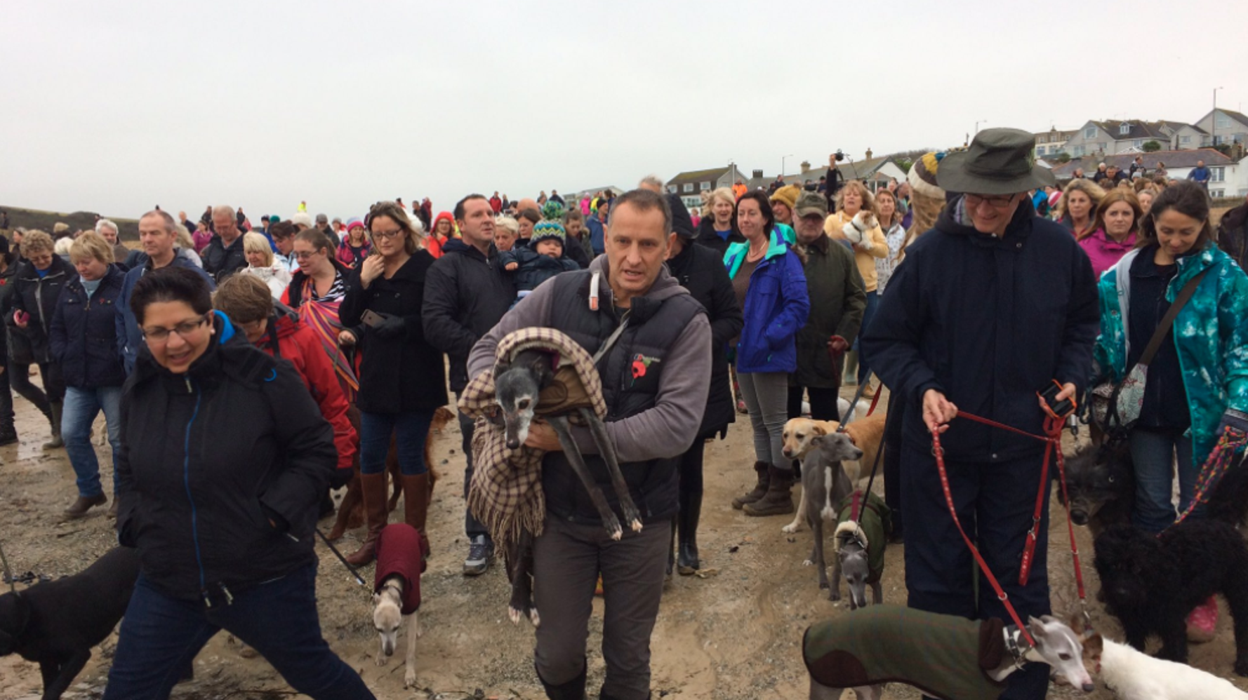 Hundreds Join Walnut The Dog On His Final Walk Before Being Put Down