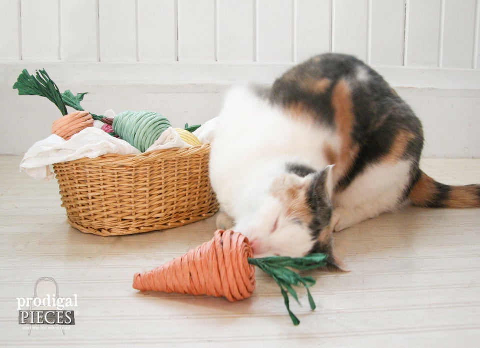 1. Catnip Carrots