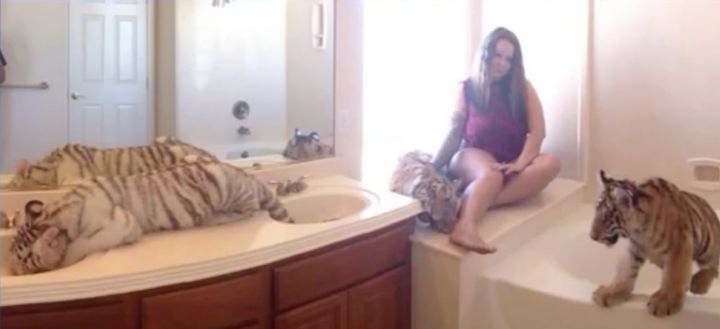 Trisha Meyer was arrested for child endangerment after officials found tigers roaming freely in the Cypress, Texas, home she shares with her 14-year-old daughter.