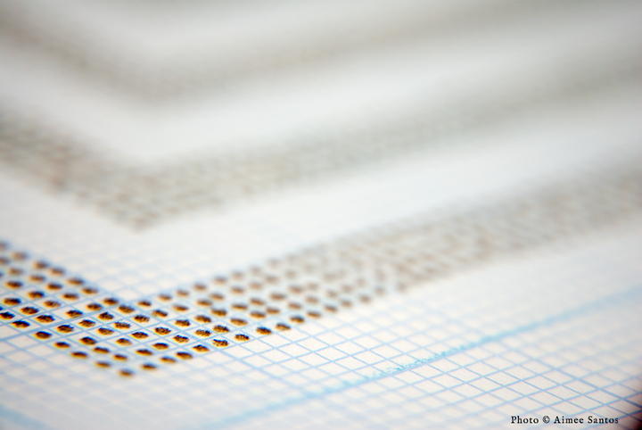 <p>Linda Vallejo. Brown Dot Project, studio detail</p>