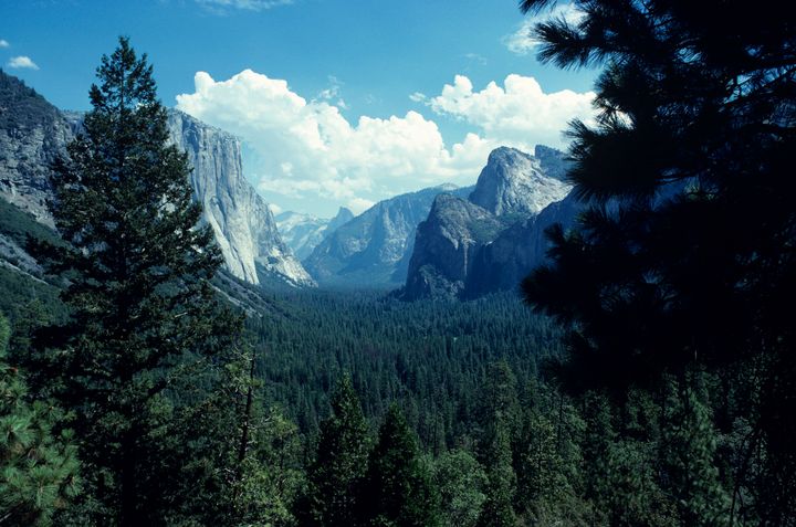 A view inside Yosemite Valley. The Department of Interior oversees the National Park System.