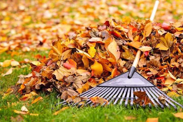 <strong>Leaves have been blamed for the latest Southern Rail delay</strong>