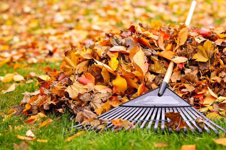 Leaves have been blamed for the latest Southern Rail delay