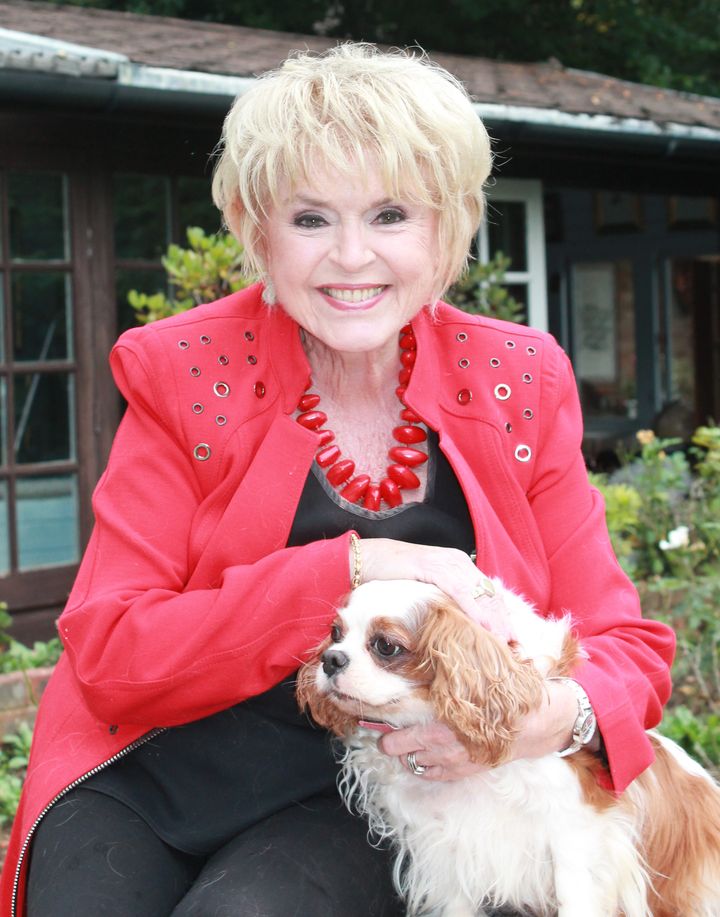 Gloria Hunniford counts her dogs as her children