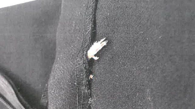 This is the tiny paw that a New York woman says she found scraping against her leg while wearing a dress made by Zara.
