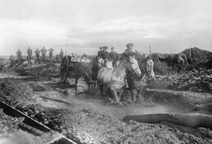 Horses struggle through the mud of the battlefields