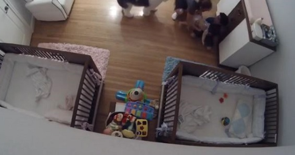 NineYearOld Boy Hailed A Hero After Catching Baby Brother Who Fell