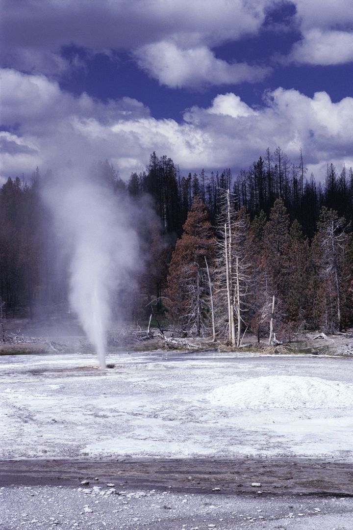 Colin and Sable Scott had left a boardwalk near Pork Chop Geyser (pictured) just before the accident 