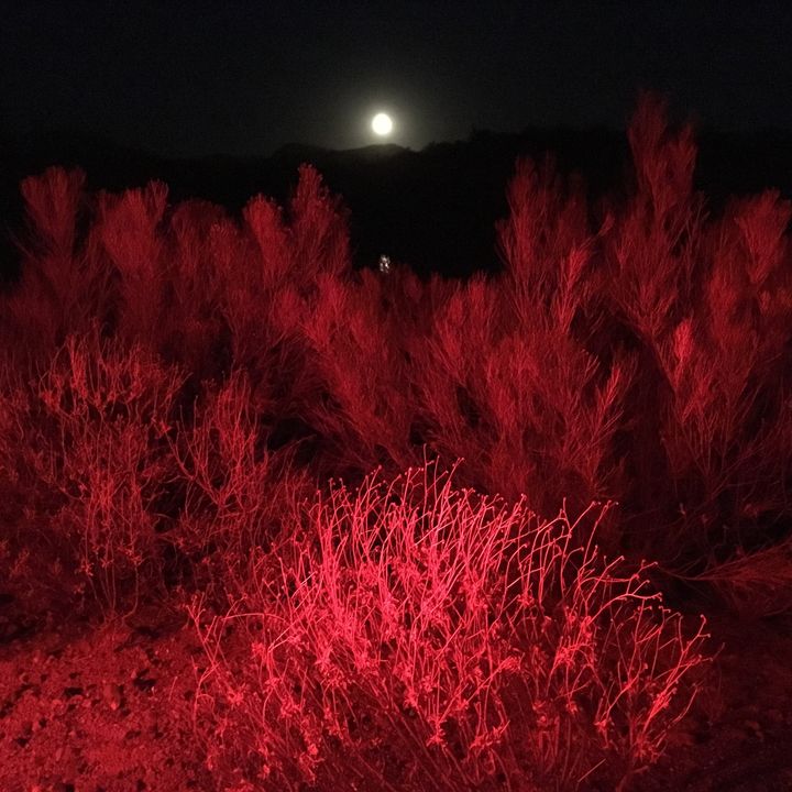 The super moon rises in the desert in Anthem, AZ on Nov. 14, 2016.