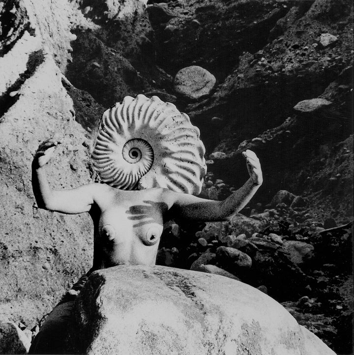 <p><em>Goddess Head</em>, 1975</p><p>40x40 inches</p><p>Silver gelatin print</p>
