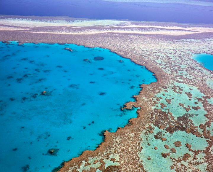 An aerial view of the Great Barrier Reef 