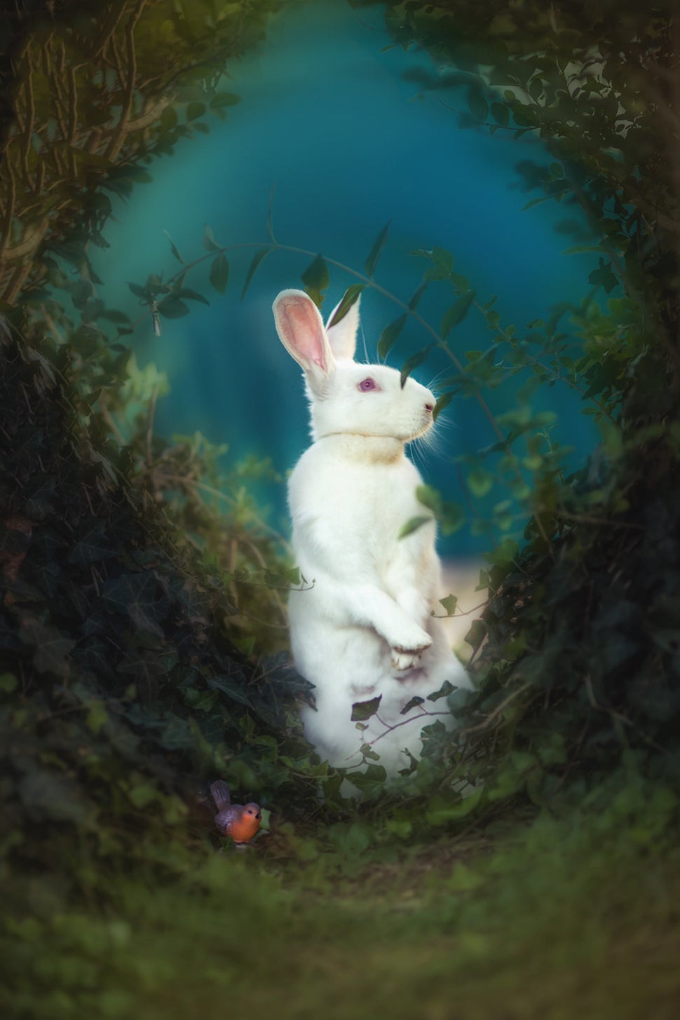 Opicina in "The Secret Garden<i>.</i>"