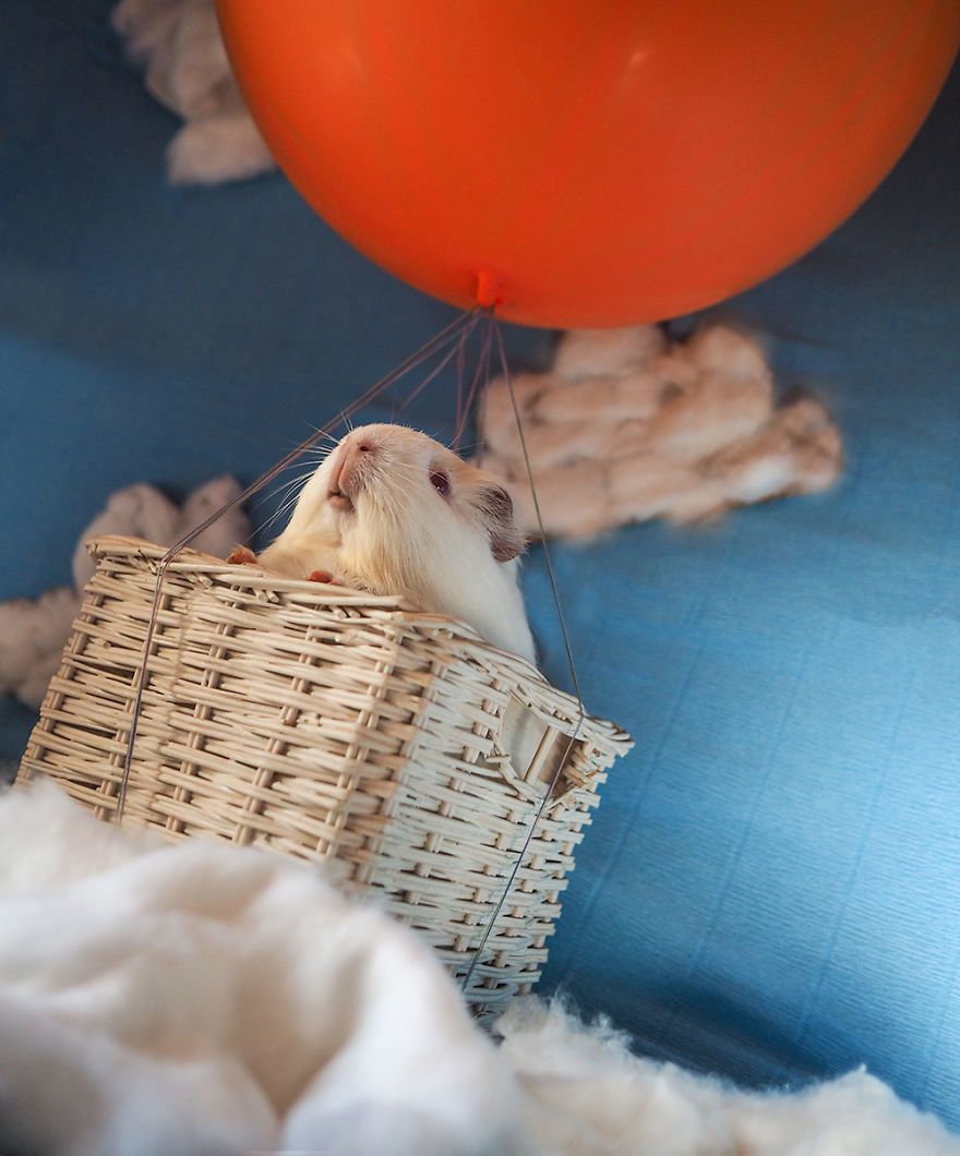 Don't worry -- no guinea pigs were actually airborne during Audrey's "Around The World in 80 Days" photoshoot.