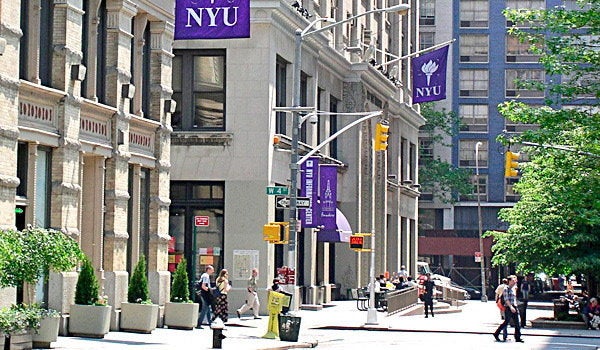 New York University is one of dozens of schools that have been hit by anti-Semitic, Islamophobic and racist incidents since the election.