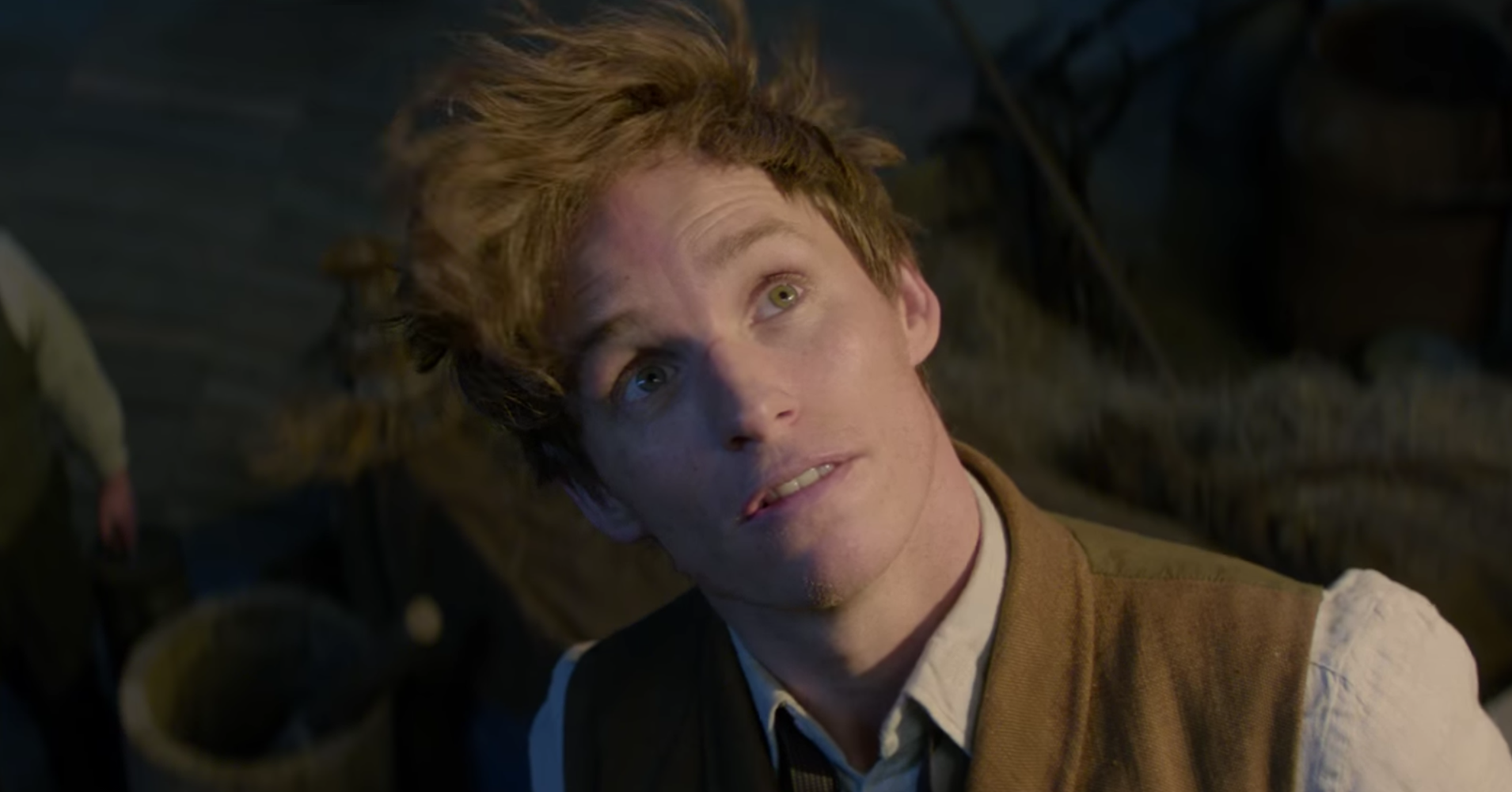 fantastic beasts    find  bewitches   box office