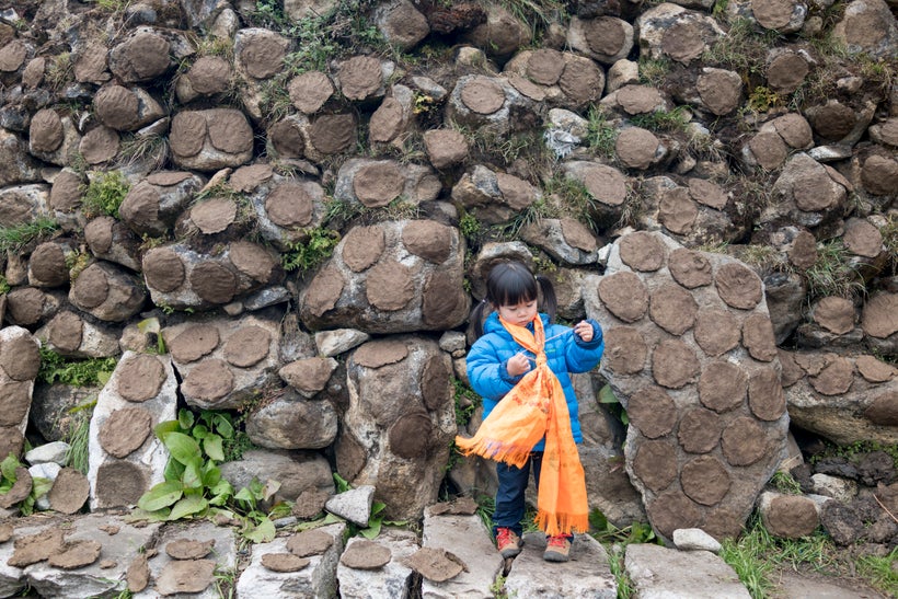 <em>Little Chow was introduced to the concept of Yak dung. Dirty, maybe disgusting, but essential for mountain folk as fuel i