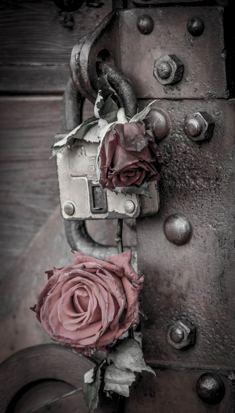 A touching gesture: some guest had placed two roses on the lock on the rail car on display that used to bring prisoners to th