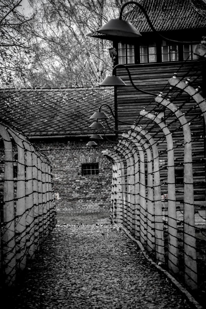 Electrified fence.