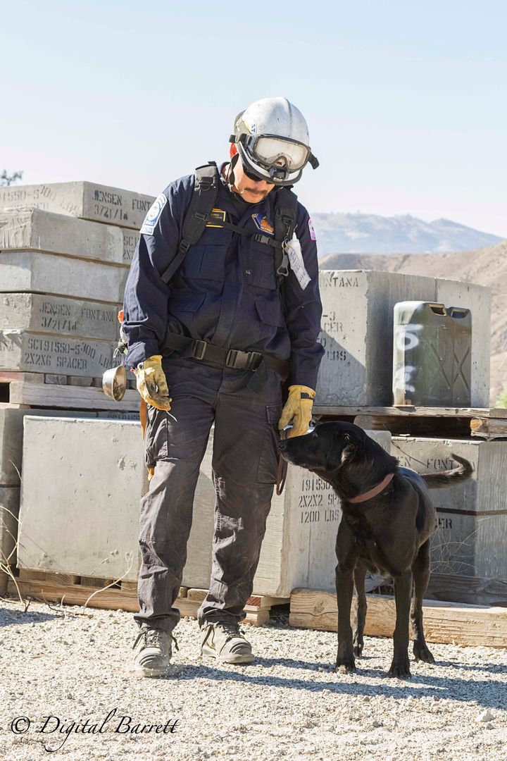 <p>Chuck Wong and his dog Kino prepare to search a rubble pile.</p>