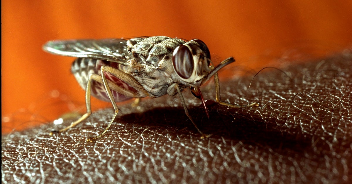 A Killer Disease Might Be Nearing The End Of Its Deadly Run | HuffPost