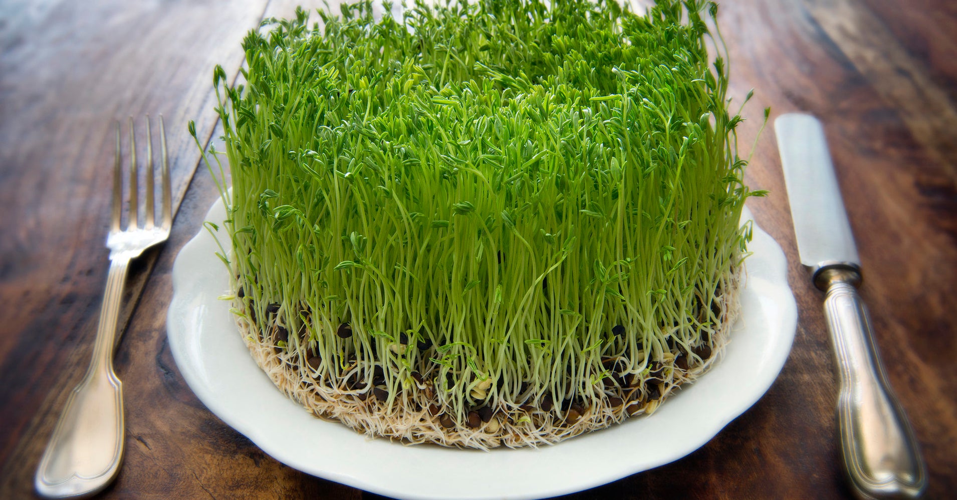 why-sprouts-are-especially-good-at-harboring-dangerous-bacteria-huffpost