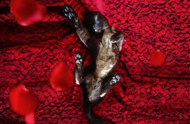 Tara in <i>American Beauty</i>.