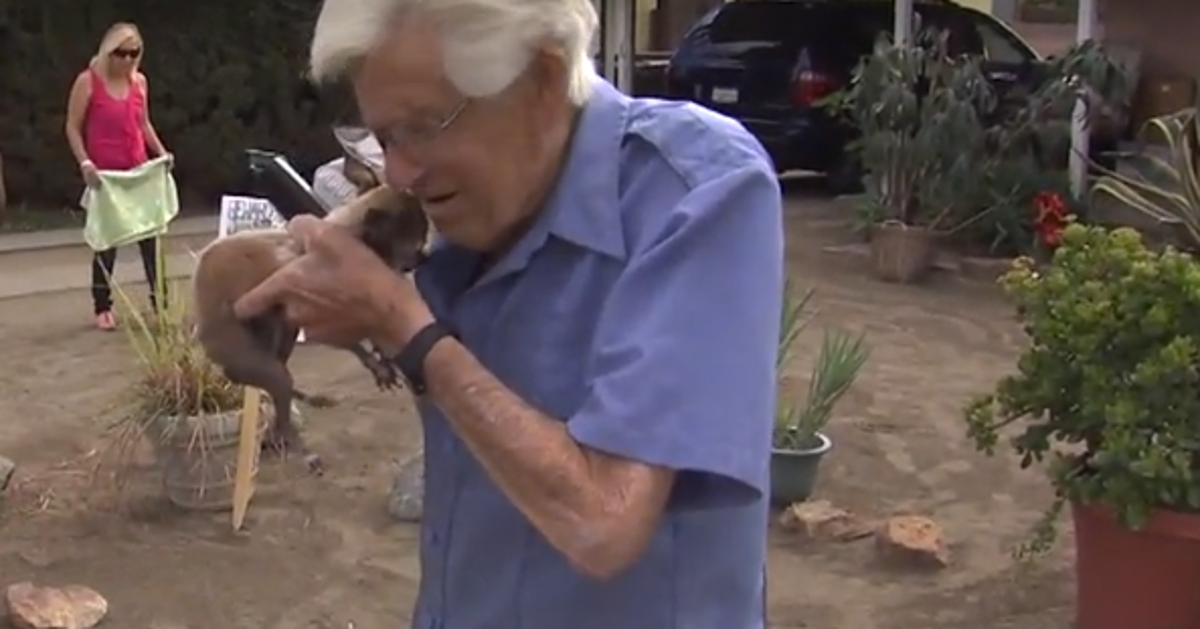 WWII Vet Reunited With Stolen Chihuahua He Calls 'Love Of His Life(01)