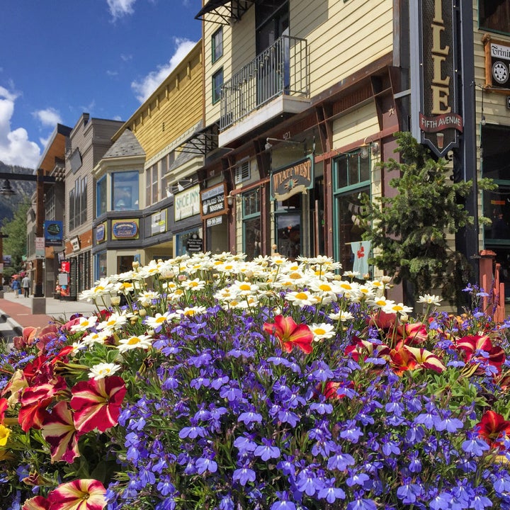 Pretty Frisco is lined with flowers.