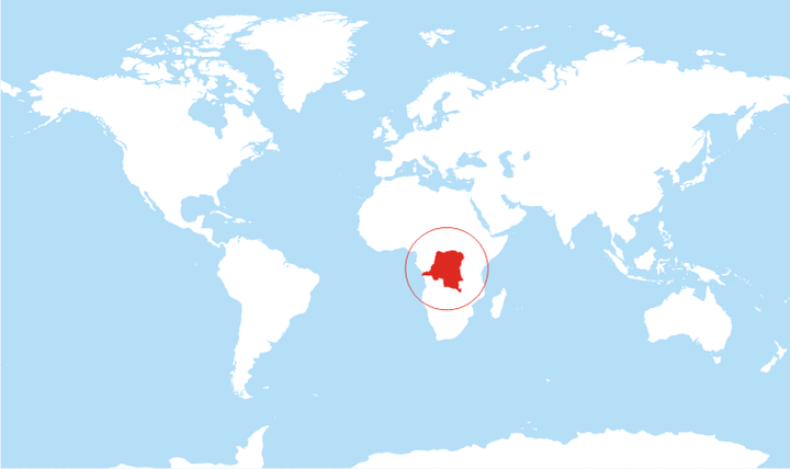 The Democratic Republic of Congo, where most cases of sleeping sickness occur.