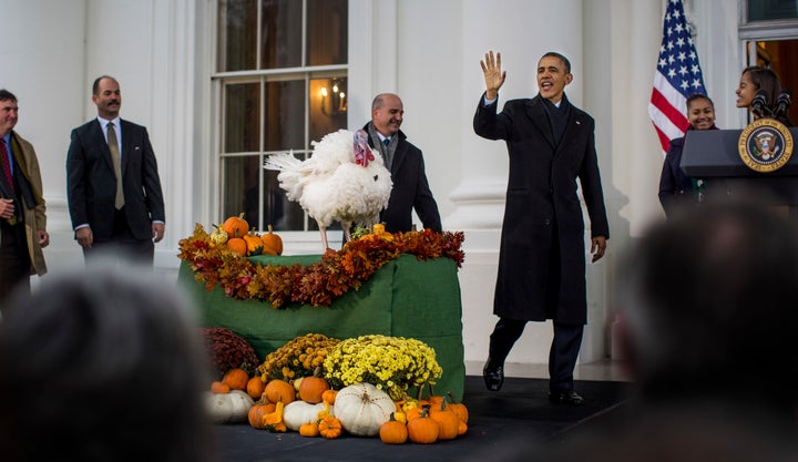 President Barack Obama takes part in the traditional Thanksgiving ceremony in 2013, when he pardoned almost as many turkeys as humans, before his administration’s clemency push.