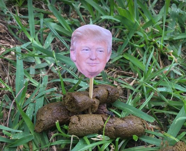 Florida artist Allan Adler is putting Trump photos around the dop poop in his Miami Beach neighborhood.