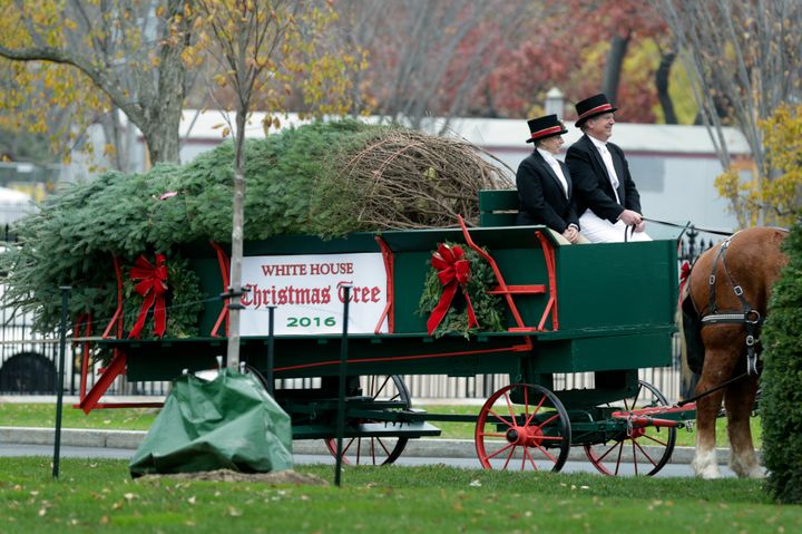 The official White House Christmas Tree is delivered to the White House in Washington, D.C., on November 25, 2016. The 19-foot Douglas Fir was donated by a tree farm in Pennsylvania.