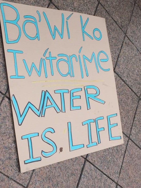 Baltimore’s ‘water protectors’ sign November 25 2016.