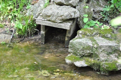 <em>Box in Versailles State Park that hides a lethal conibear trap. </em>