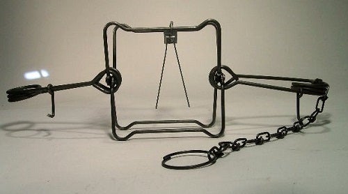 <em>Conibear trap. This body crushing device is used by trappers to kill raccoons, beavers and other small mammals. </em>