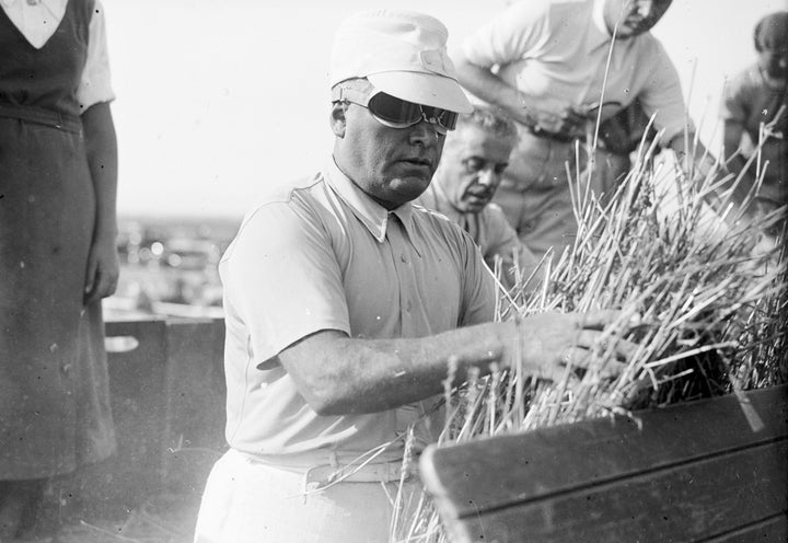 <p>Mussolini harvesting wheat</p>