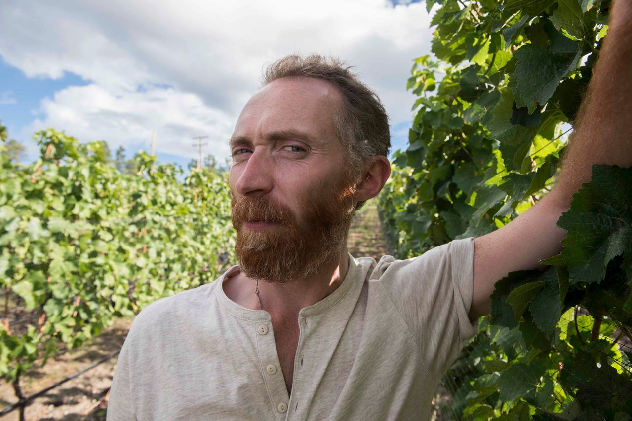 Vincent van Gogh lookalike Daniel Baker in the Pinot Noir vineyard at Martin’s Lane Winery in the Okanagan Valley, British Columbia.