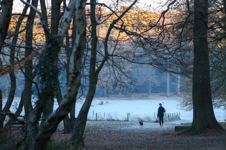 A man walks through Highgate woods in north London