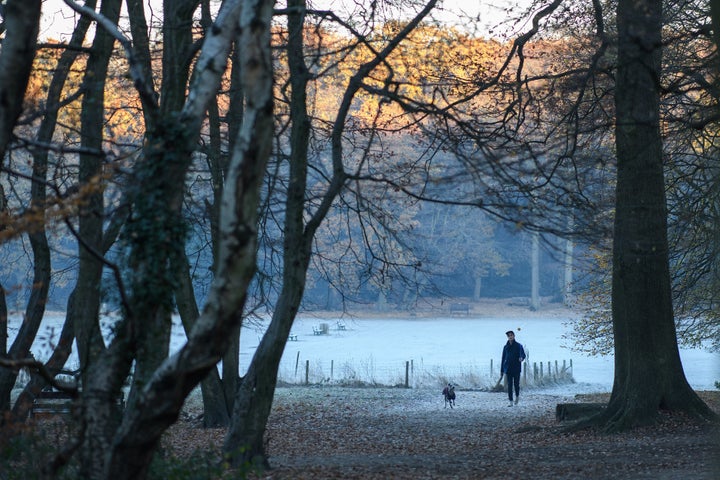 <strong>A man walks through Highgate woods in north London</strong>
