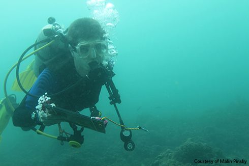 Marine biologist Malin Pinsky, holding an underwater notepad and pencil, dives in the Camotes Sea, Philippines, in 2015 in search of clownfish. Part of his research is striving to understand why some fish populations survive and others become extinct.