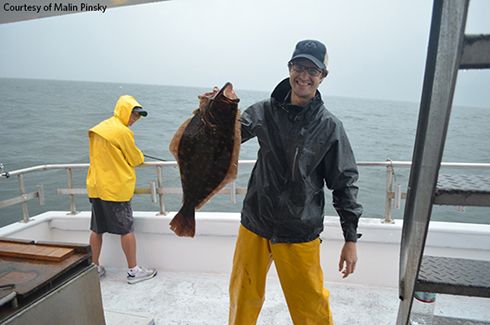 Malin Pinsky holds a summer flounder caught off the coast of New Jersey in 2015 during a research trip to understand where the flounder migrate and to help determine how many of them live along the East Coast. 