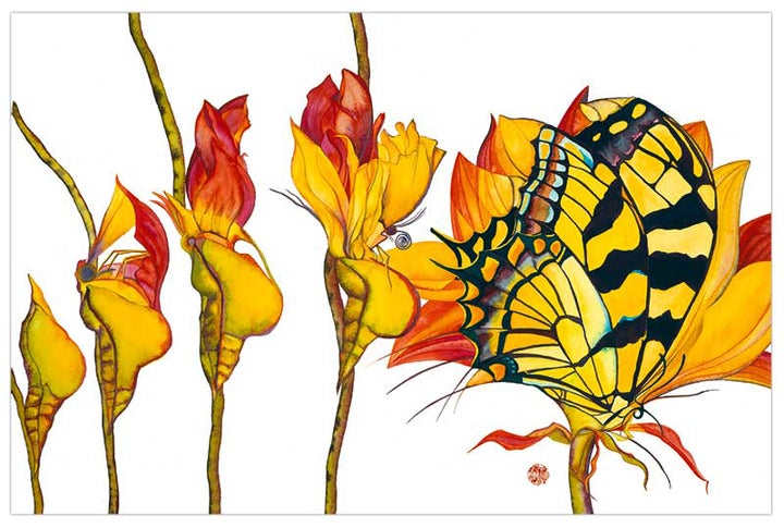 <p>Metamorphogenesis Nacimiento, c. 2016 by <a href="http://www.sarasteele.com/" target="_blank" role="link" rel="nofollow" class=" js-entry-link cet-external-link" data-vars-item-name="Sara Steele" data-vars-item-type="text" data-vars-unit-name="583f6057e4b0cf3f645586a9" data-vars-unit-type="buzz_body" data-vars-target-content-id="http://www.sarasteele.com/" data-vars-target-content-type="url" data-vars-type="web_external_link" data-vars-subunit-name="article_body" data-vars-subunit-type="component" data-vars-position-in-subunit="0">Sara Steele</a>, All Rights Reserved. Used by permission.</p>