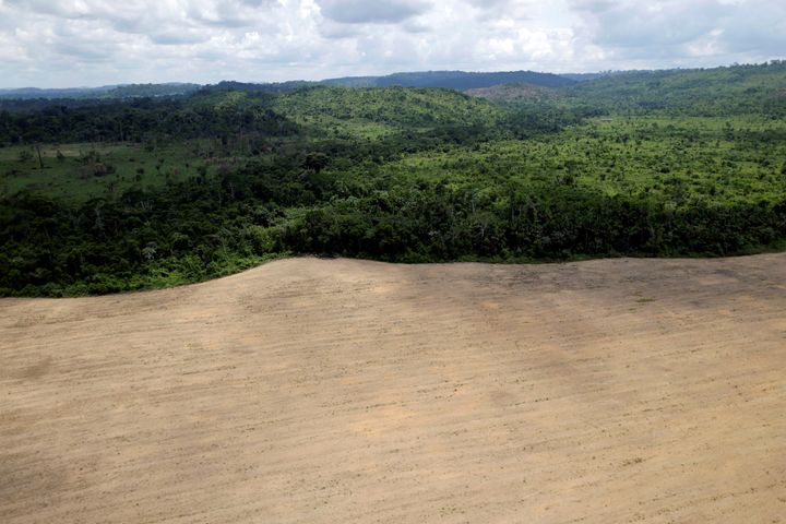 Roughly 3,000 square miles of rainforest was lost in the Brazilian Amazon in 2016.