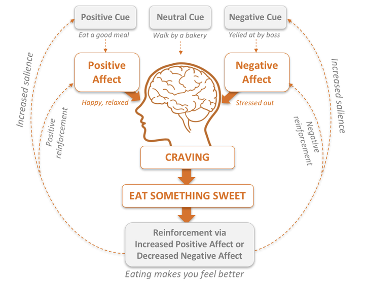 Stress and emotional eating habit loop