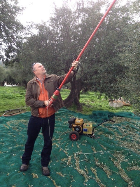 David Neuman is hands on at the harvest.